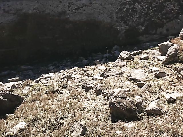 Lily Adams - Fully nude teen in nature