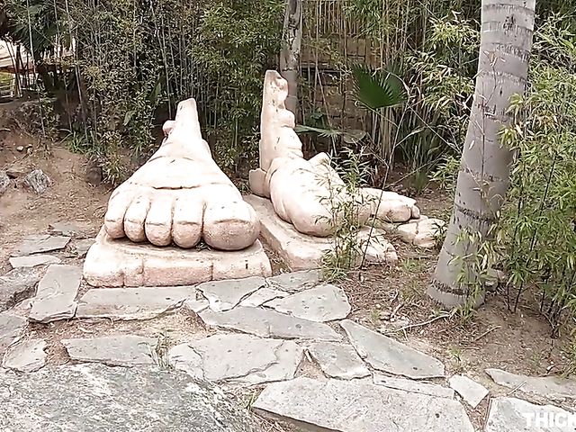 Aria Lee - Pantyhose teen with a lovely ass gets nailed