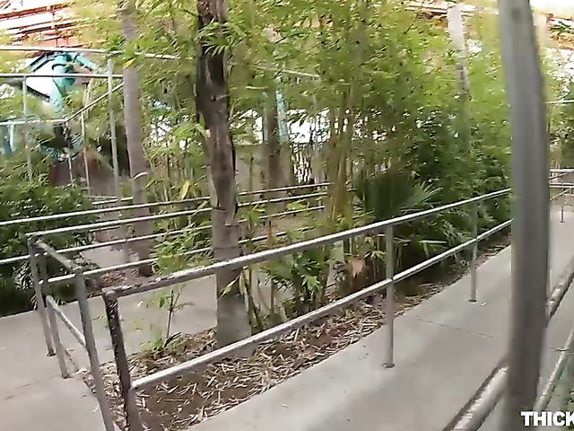 Aria Lee - Pantyhose teen with a lovely ass gets nailed