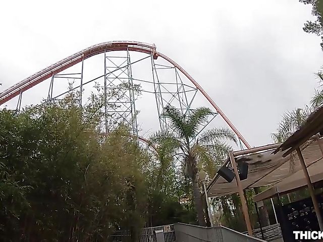 Aria Lee - Pantyhose teen with a lovely ass gets nailed