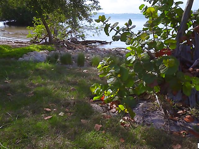 Naive teen Abby Adams gets slammed in a van