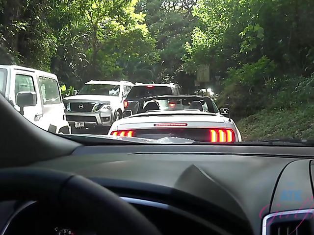 Carmen Rae - Girlfriend feet and pussy exposed in the car