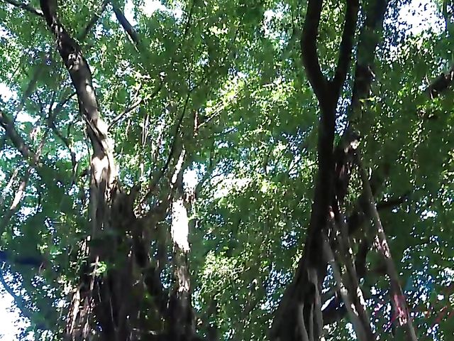 Carmen Rae - Girlfriend feet and pussy exposed in the car