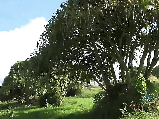 Carmen Rae - Girlfriend feet and pussy exposed in the car