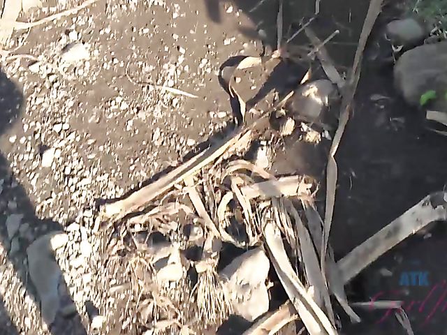 Carmen Rae - Girlfriend feet and pussy exposed in the car