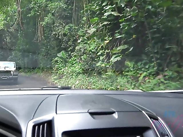 Carmen Rae - Girlfriend feet and pussy exposed in the car