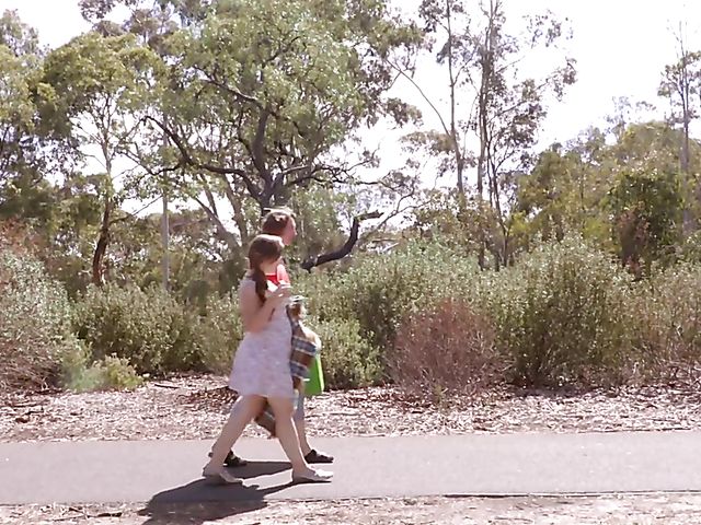 Bushy aussie lesbians Amber Leigh and Kit Bauer