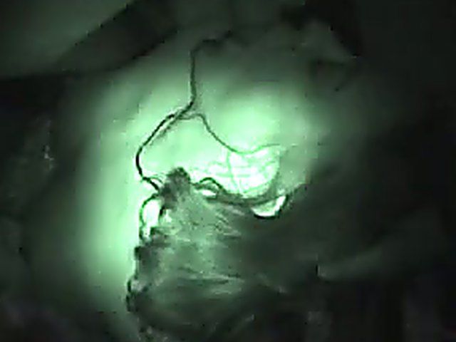 Dirty slut gets gang banged by many cocks