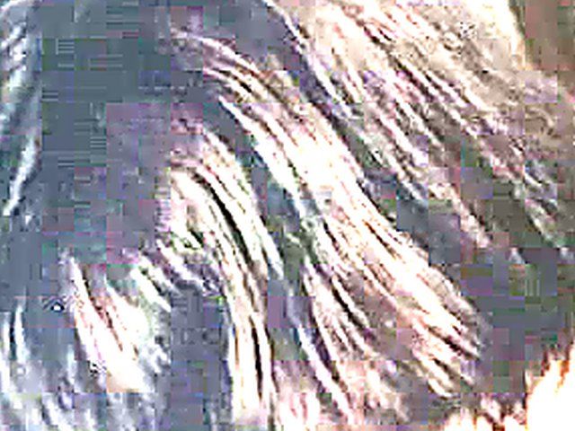 Vintage video of sweet chicks getting fucked hard