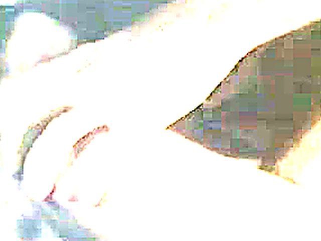 Vintage video of sweet chicks getting fucked hard