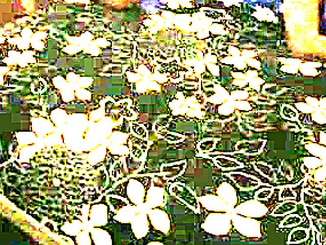 Cheating hot ass wife gets a good fuck