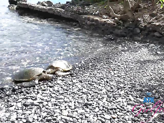 Nude beach girl with no shame Sadie Blake