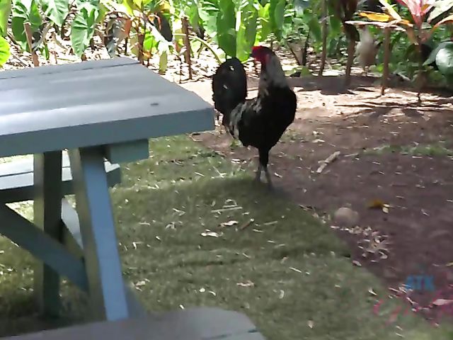 Black girlfriend Noemie Bilas loves sucking his dick