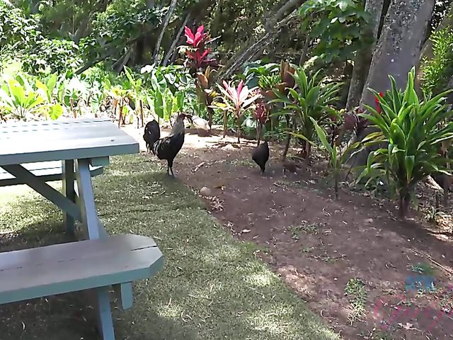 Black girlfriend Noemie Bilas loves sucking his dick