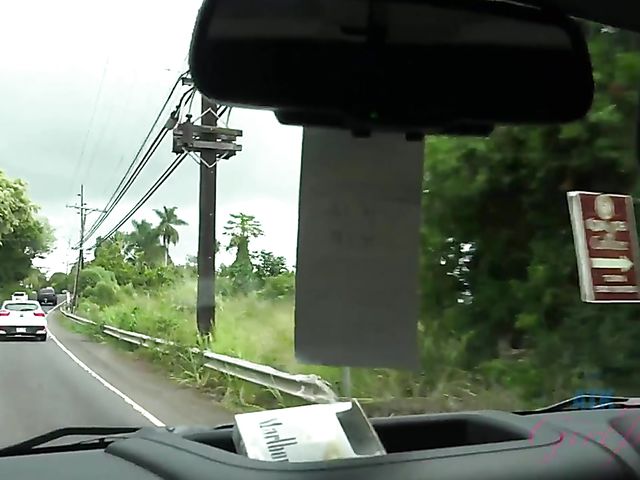 Asian girlfriend Vina Sky shows her coochie in the car