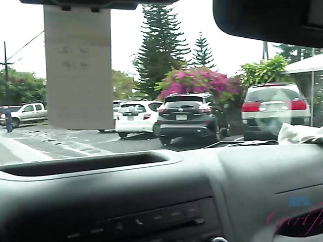 Asian girlfriend Vina Sky shows her coochie in the car