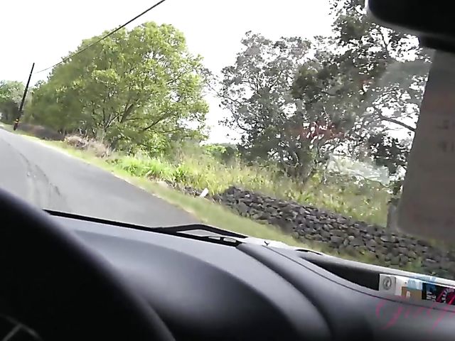 Asian girlfriend Vina Sky shows her coochie in the car