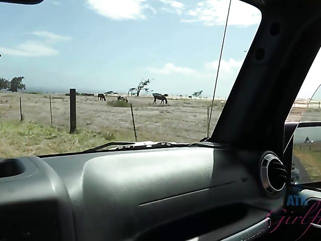 Asian girlfriend Vina Sky shows her coochie in the car