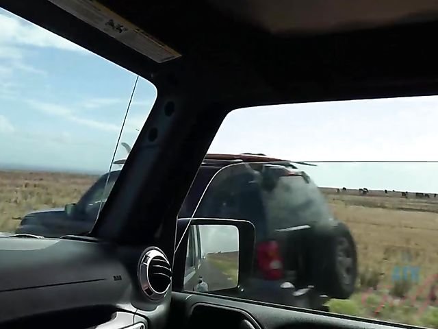 Asian girlfriend Vina Sky shows her coochie in the car