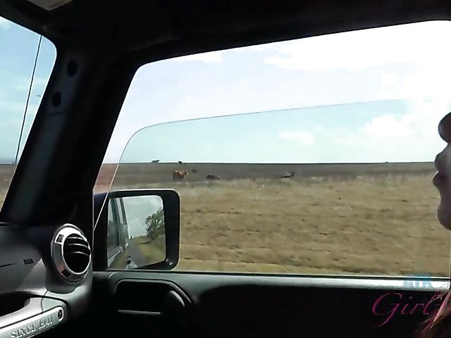 Asian girlfriend Vina Sky shows her coochie in the car