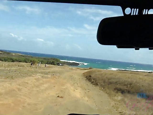 Asian girlfriend Vina Sky shows her coochie in the car