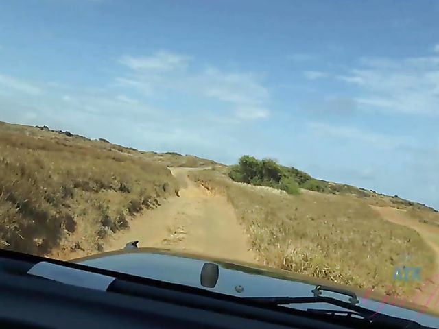 Asian girlfriend Vina Sky shows her coochie in the car