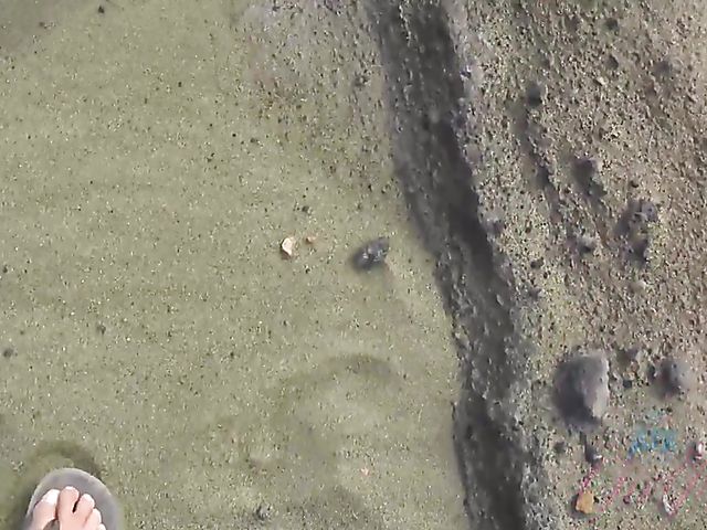 Asian girlfriend Vina Sky shows her coochie in the car