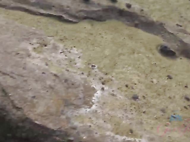 Asian girlfriend Vina Sky shows her coochie in the car