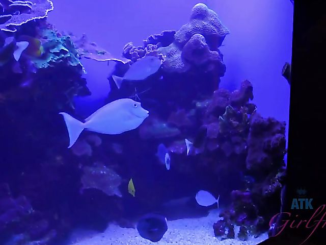 Redhead girlfriend Lola Fae shows it all in the car