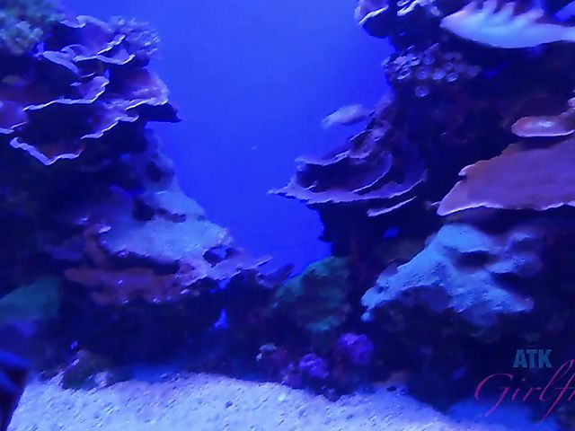 Redhead girlfriend Lola Fae shows it all in the car