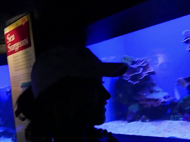 Redhead girlfriend Lola Fae shows it all in the car