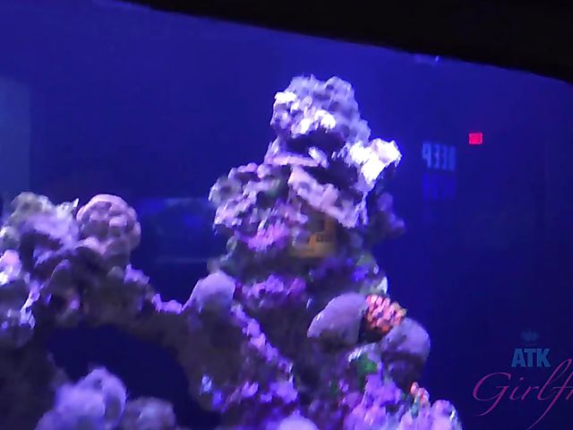 Redhead girlfriend Lola Fae shows it all in the car