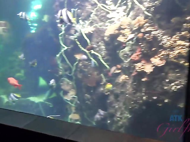 Redhead girlfriend Lola Fae shows it all in the car