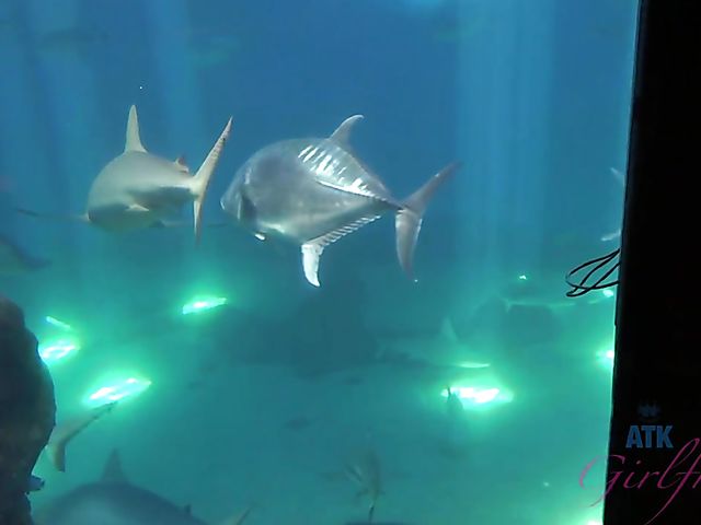 Redhead girlfriend Lola Fae shows it all in the car