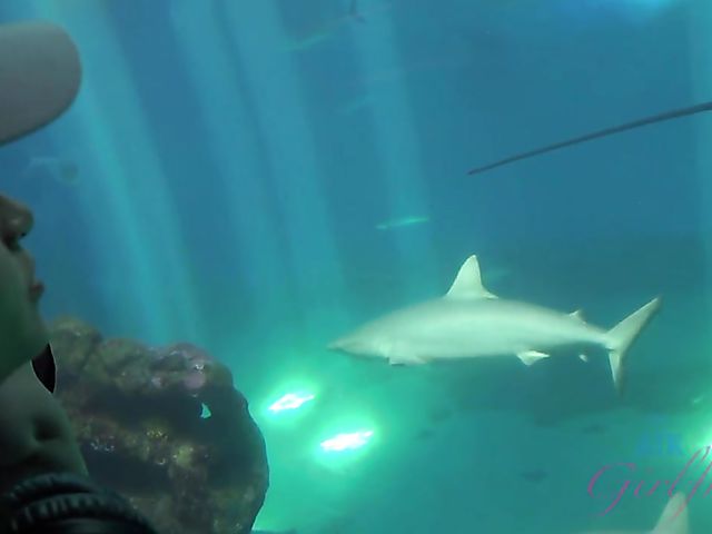 Redhead girlfriend Lola Fae shows it all in the car