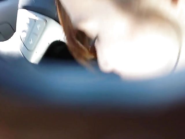 Parking lot blowjob in the afternoon