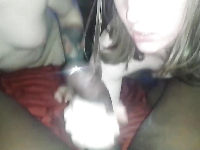 2 on 1 IR tranny blowjob with Ashley Rose and Isabella Paige