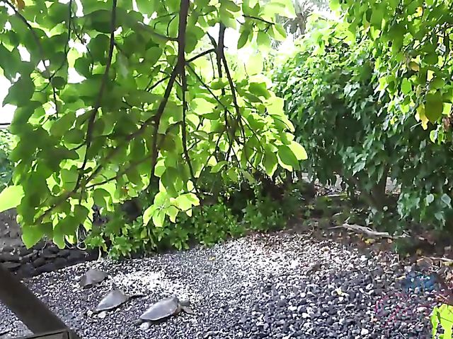 Teen girlfriend Megan Marx gets nude on the beach