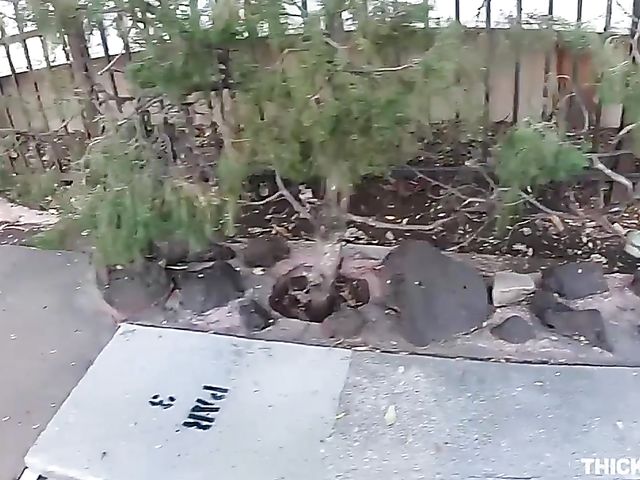 Demi Sutra shakes her ebony ass and gets fucked by a white dude