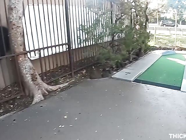 Demi Sutra shakes her ebony ass and gets fucked by a white dude