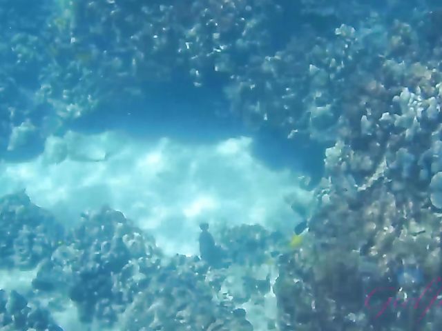 Dirty chronicles of naughty teen Lily Adams