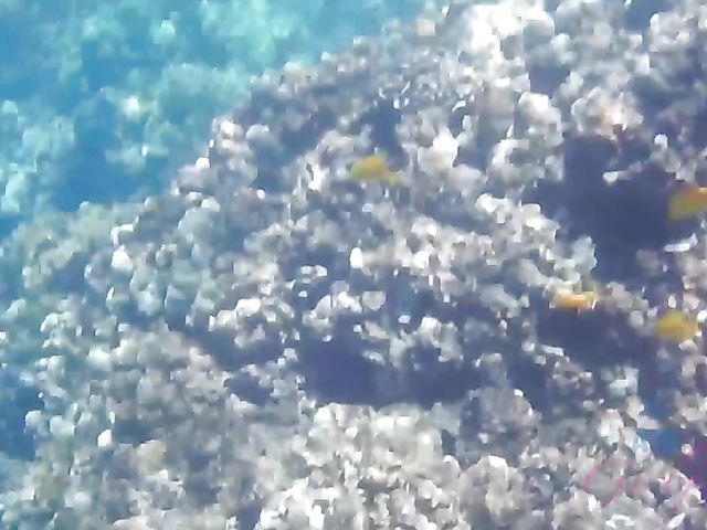 Dirty chronicles of naughty teen Lily Adams