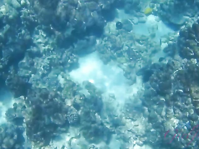 Dirty chronicles of naughty teen Lily Adams