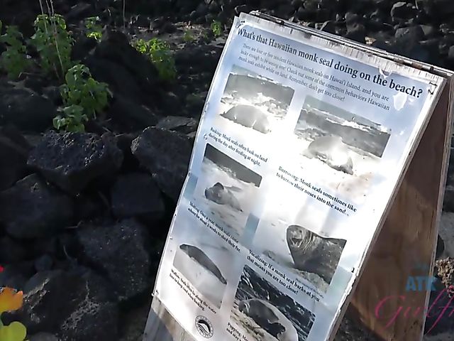 Dirty chronicles of naughty teen Lily Adams