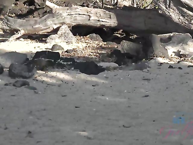 Dirty chronicles of naughty teen Lily Adams