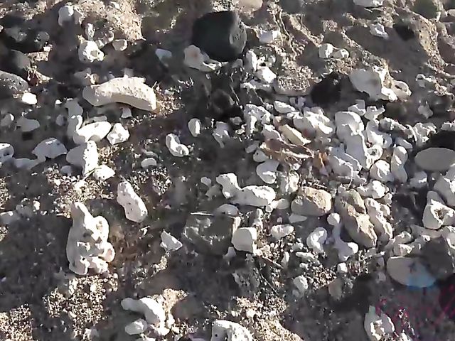 Dirty chronicles of naughty teen Lily Adams