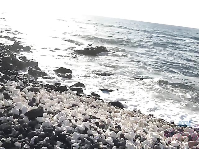 Dirty chronicles of naughty teen Lily Adams