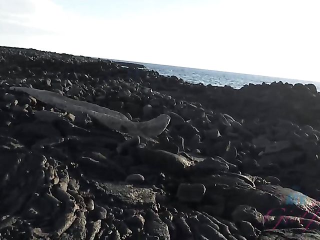 Dirty chronicles of naughty teen Lily Adams