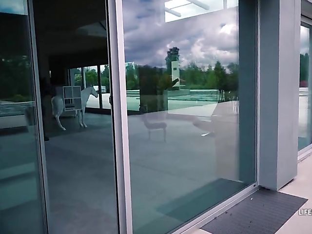 POV anal threesome with blindfolded Veronica Leal