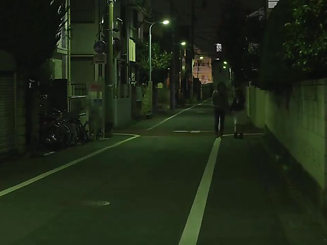 Sex chronicles of a lovely Japanese housewife 